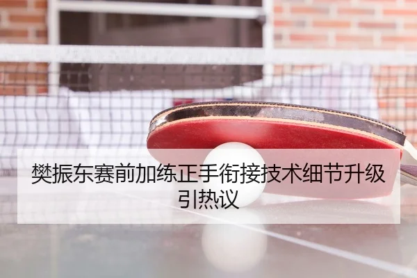 樊振东赛前加练正手衔接技术细节升级引热议